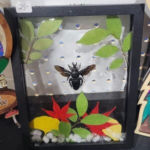 Framed Insect Art with Leaves Mixed Media